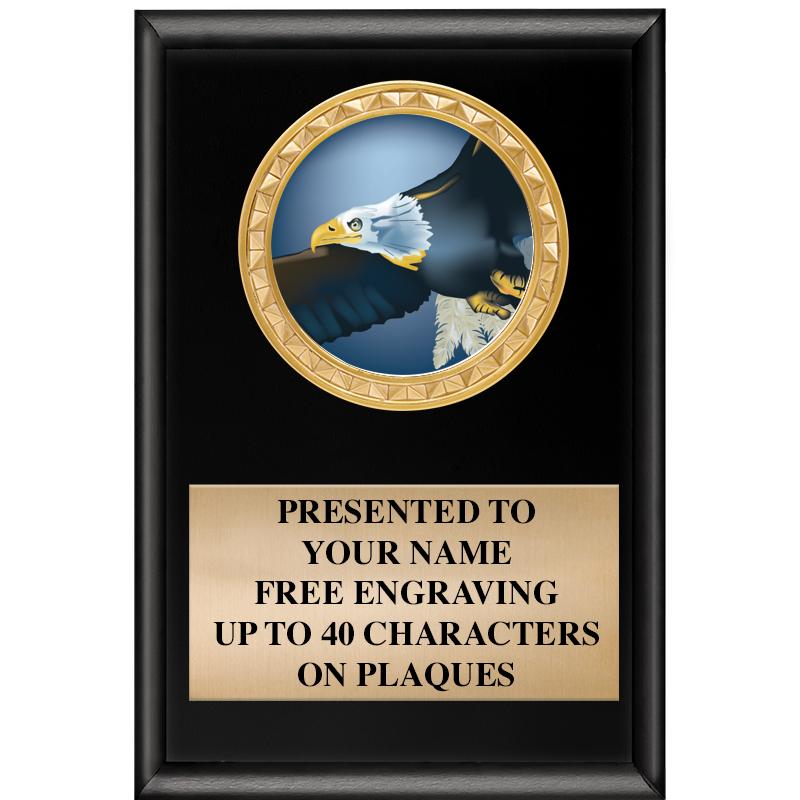 4" X 6" SHINY BLACK INSERT PLQ