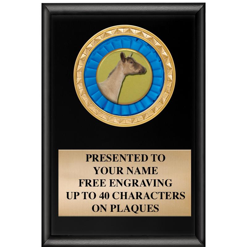 4" X 6" SHINY BLACK INSERT PLQ