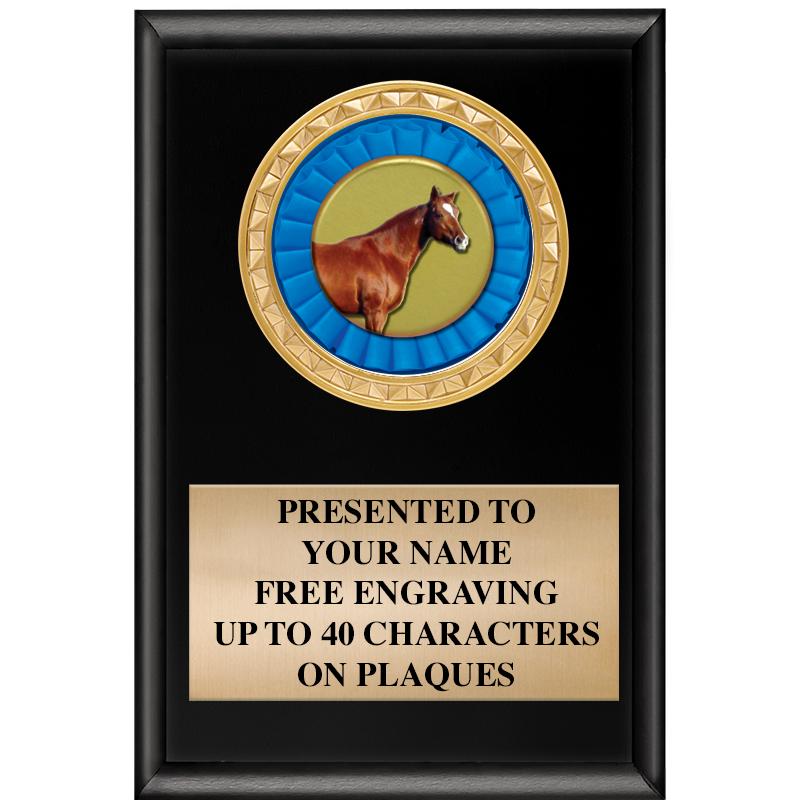 4" X 6" SHINY BLACK INSERT PLQ