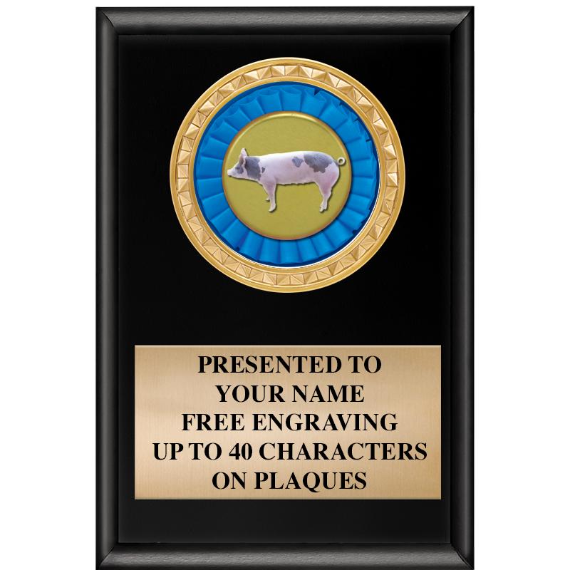 4" X 6" SHINY BLACK INSERT PLQ