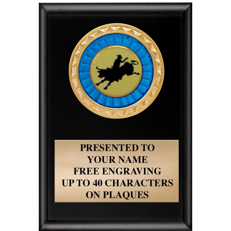 4" X 6" SHINY BLACK INSERT PLQ