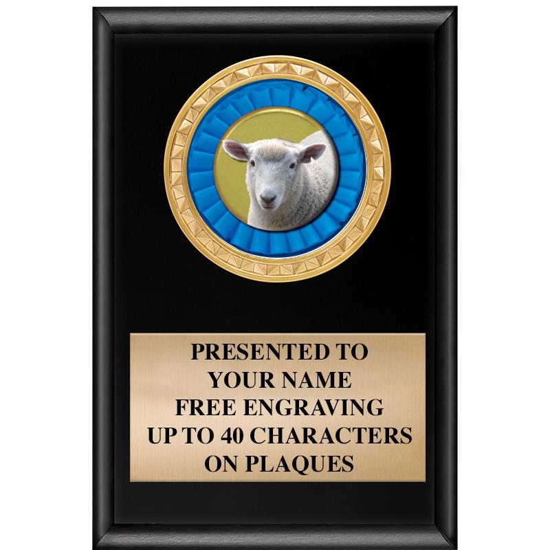 4" X 6" SHINY BLACK INSERT PLQ