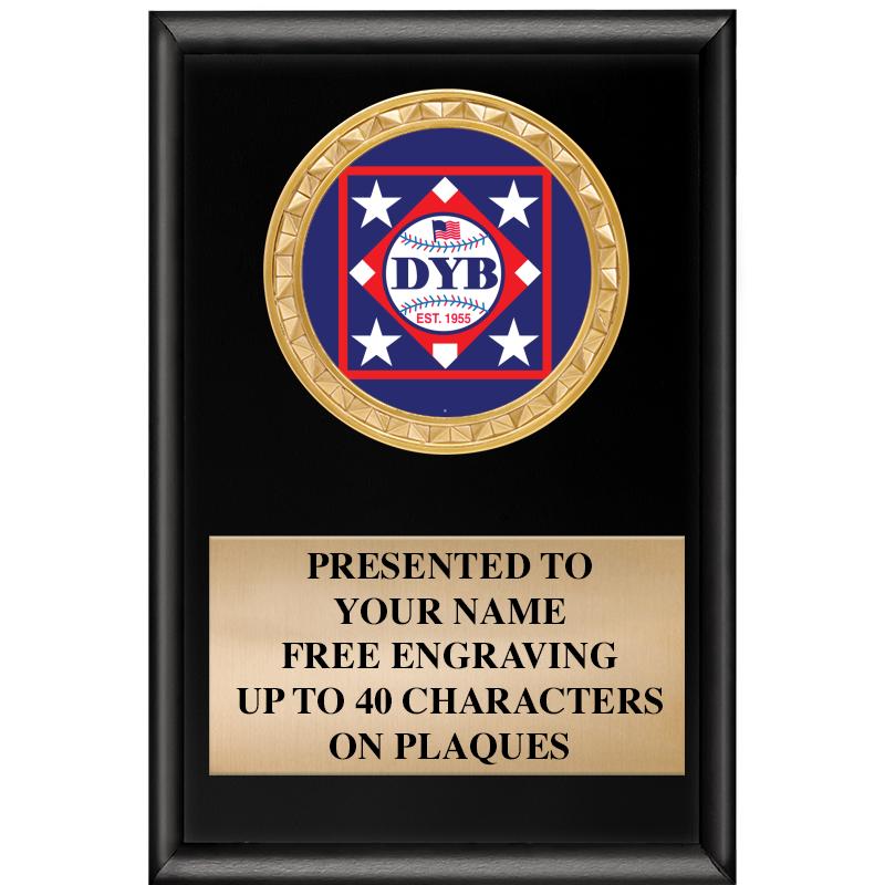 4" X 6" SHINY BLACK INSERT PLQ