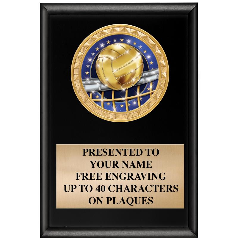 4" X 6" SHINY BLACK INSERT PLQ