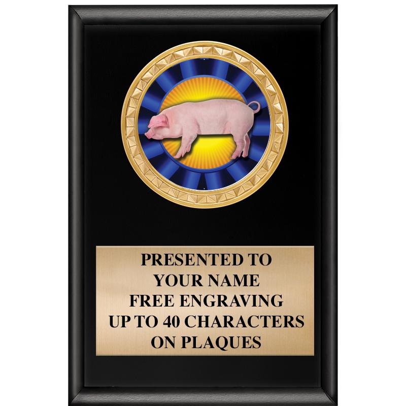 4" X 6" SHINY BLACK INSERT PLQ