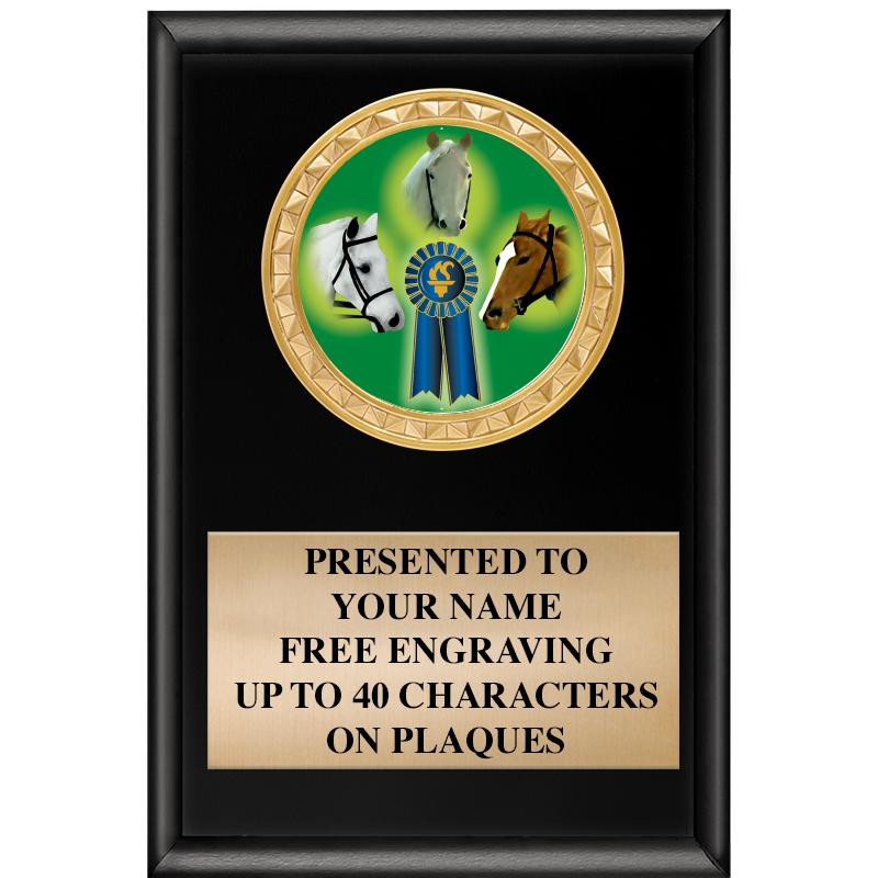 4" X 6" SHINY BLACK INSERT PLQ