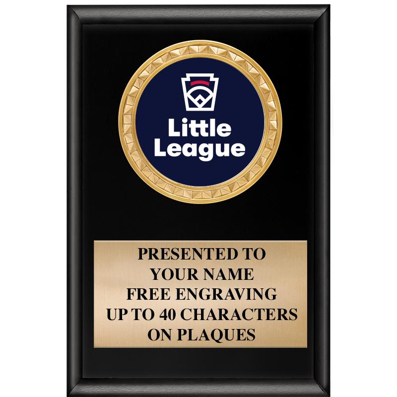 4" X 6" SHINY BLACK INSERT PLQ