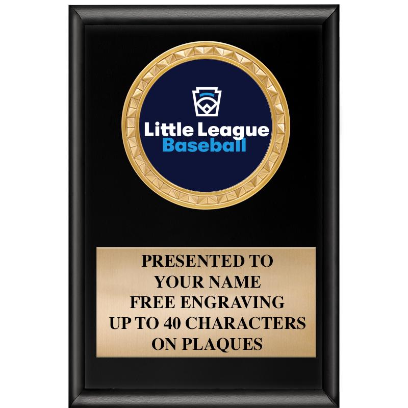 4" X 6" SHINY BLACK INSERT PLQ