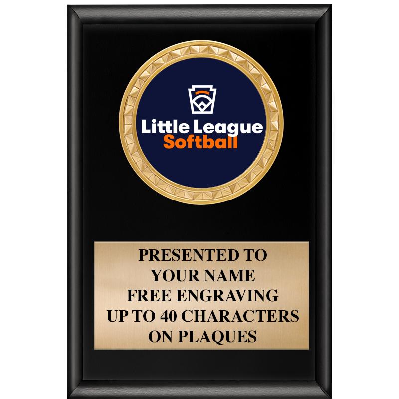 4" X 6" SHINY BLACK INSERT PLQ