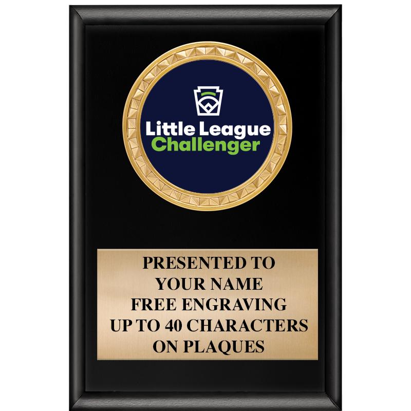 4" X 6" SHINY BLACK INSERT PLQ