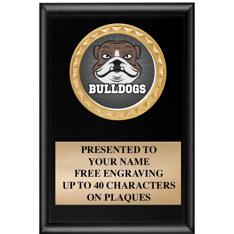 4" X 6" SHINY BLACK INSERT PLQ