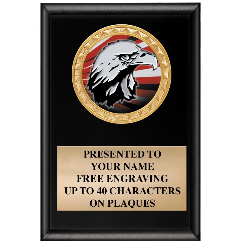 4" X 6" SHINY BLACK INSERT PLQ