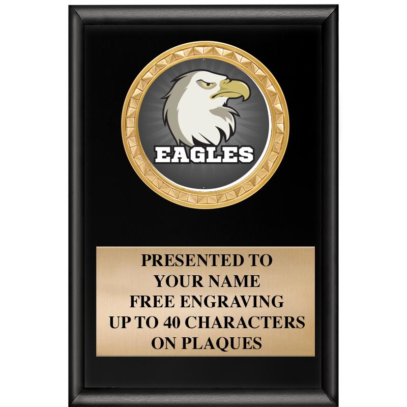 4" X 6" SHINY BLACK INSERT PLQ