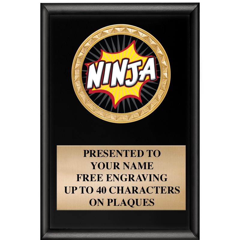 4" X 6" SHINY BLACK INSERT PLQ