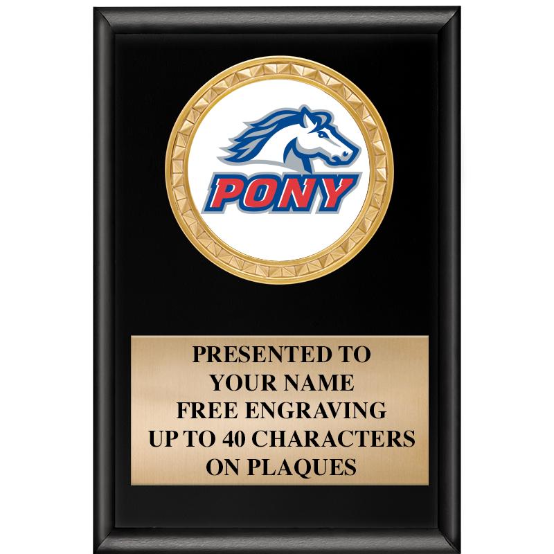 4" X 6" SHINY BLACK INSERT PLQ