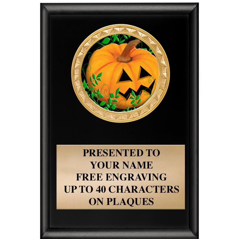 4" X 6" SHINY BLACK INSERT PLQ