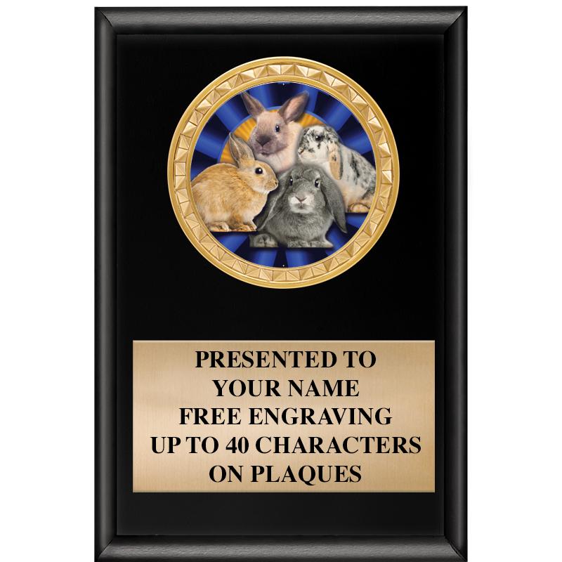 4" X 6" SHINY BLACK INSERT PLQ