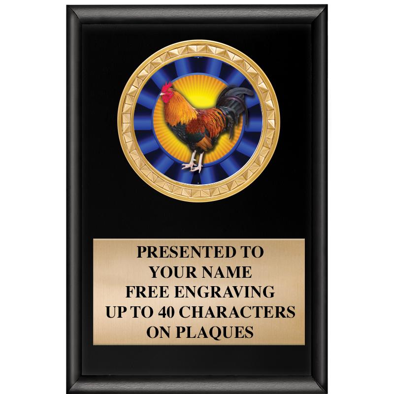 4" X 6" SHINY BLACK INSERT PLQ