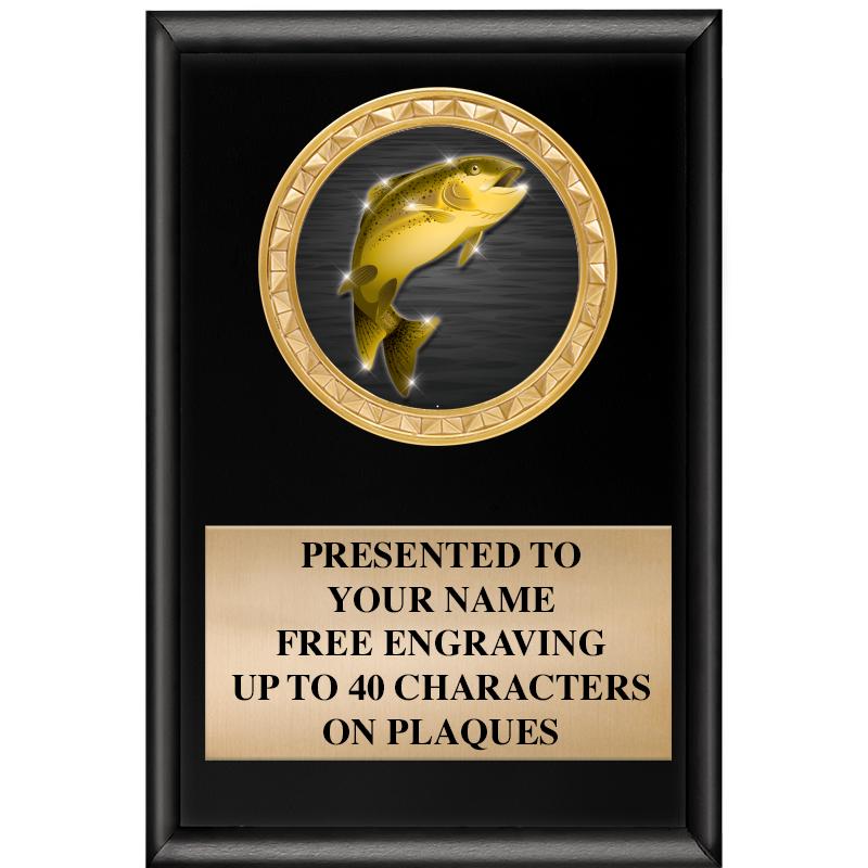 4" X 6" SHINY BLACK INSERT PLQ