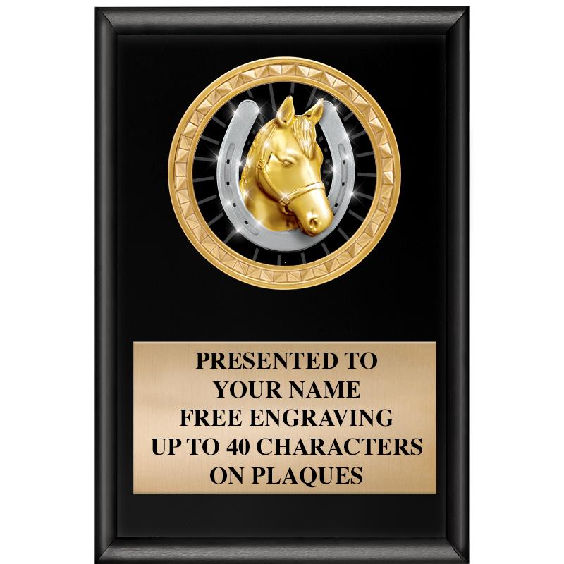 4" X 6" SHINY BLACK INSERT PLQ