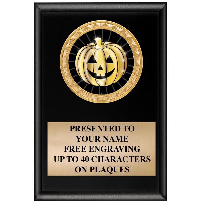 4" X 6" SHINY BLACK INSERT PLQ