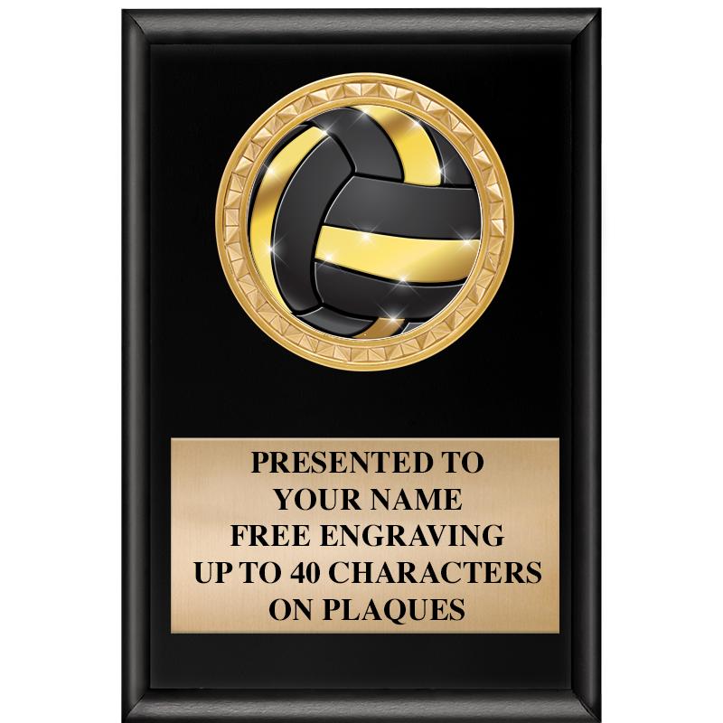 4" X 6" SHINY BLACK INSERT PLQ