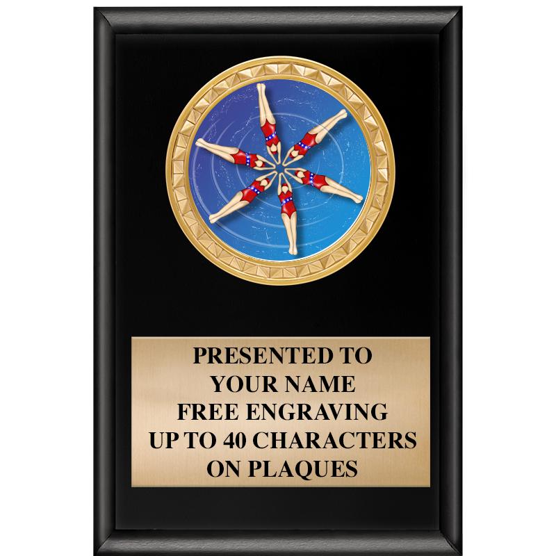 4" X 6" SHINY BLACK INSERT PLQ