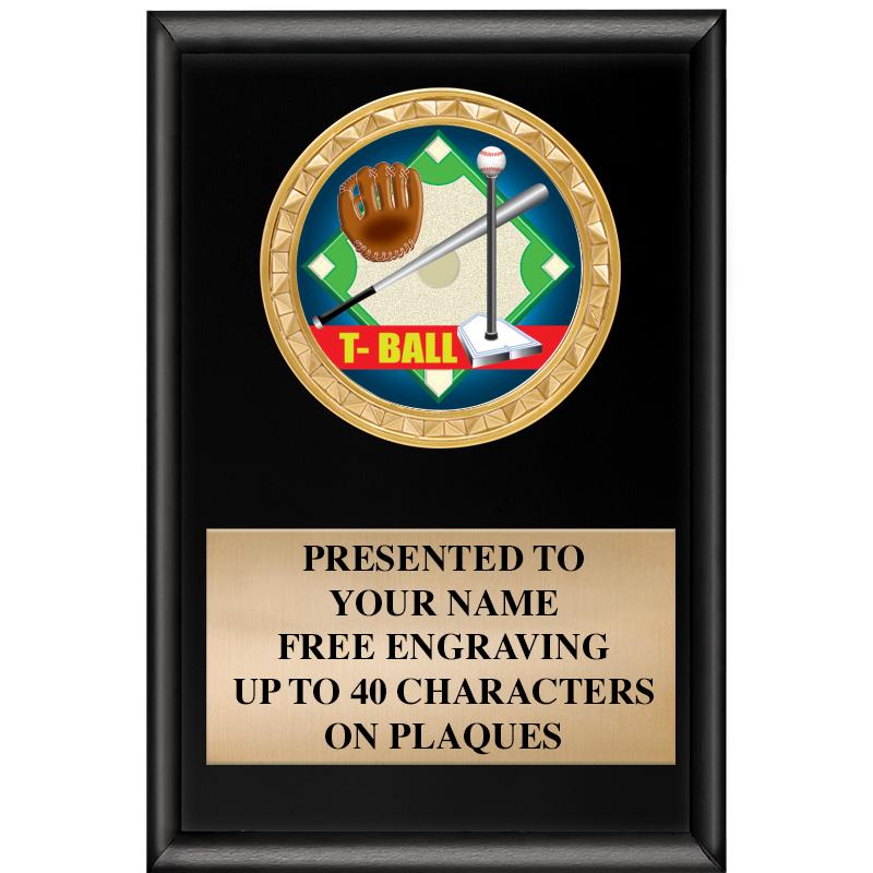 4" X 6" SHINY BLACK INSERT PLQ