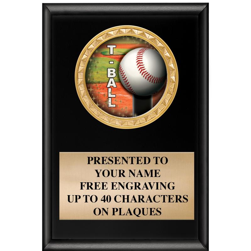 4" X 6" SHINY BLACK INSERT PLQ