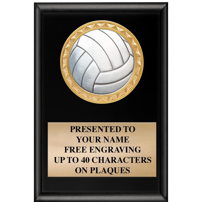 4" X 6" SHINY BLACK INSERT PLQ