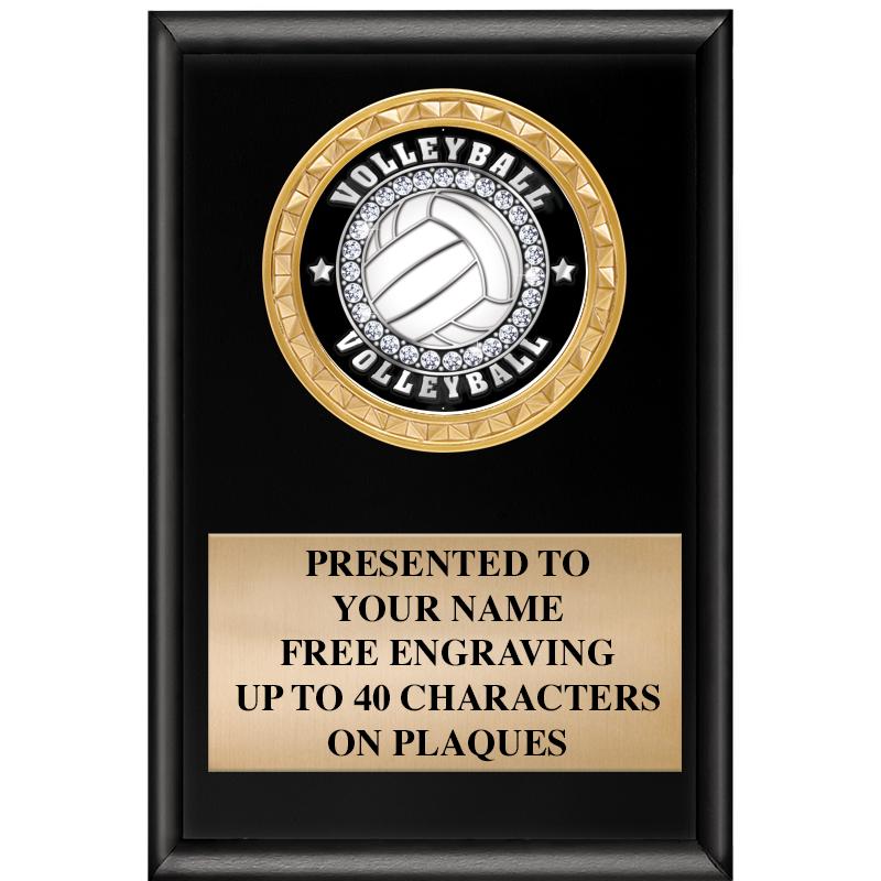 4" X 6" SHINY BLACK INSERT PLQ