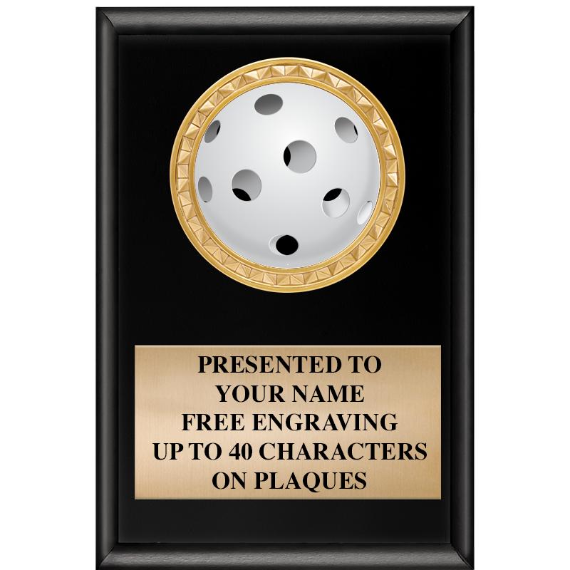 4" X 6" SHINY BLACK INSERT PLQ