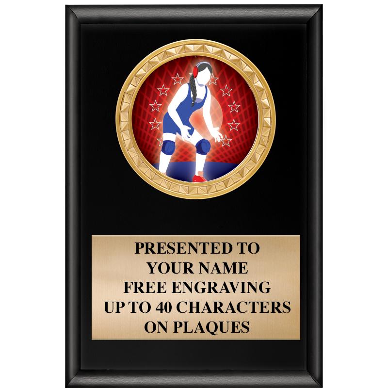 4" X 6" SHINY BLACK INSERT PLQ