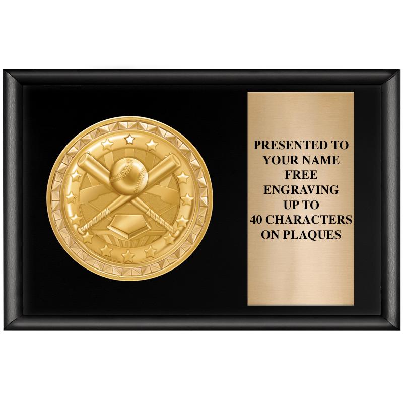 6" X 4" SHINY BLK INSERT PLQ