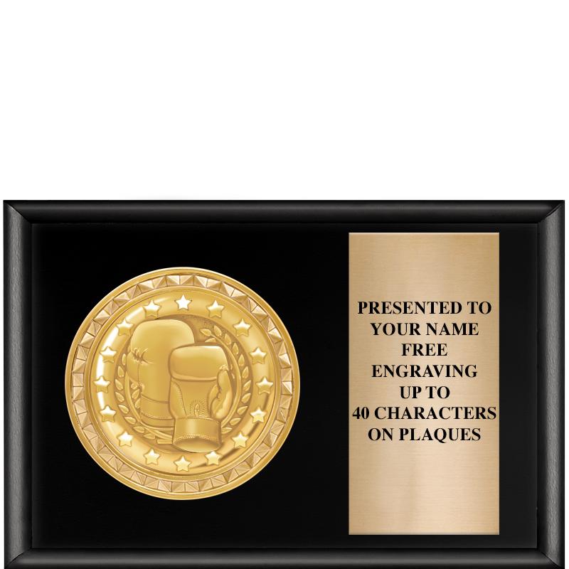 6" X 4" SHINY BLK INSERT PLQ