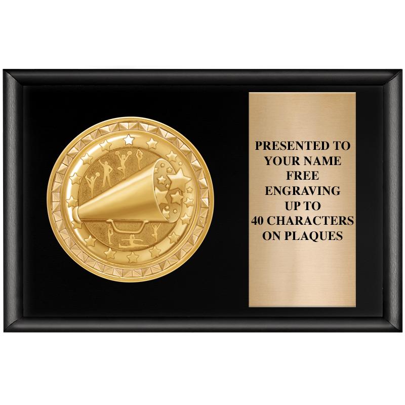 6" X 4" SHINY BLK INSERT PLQ