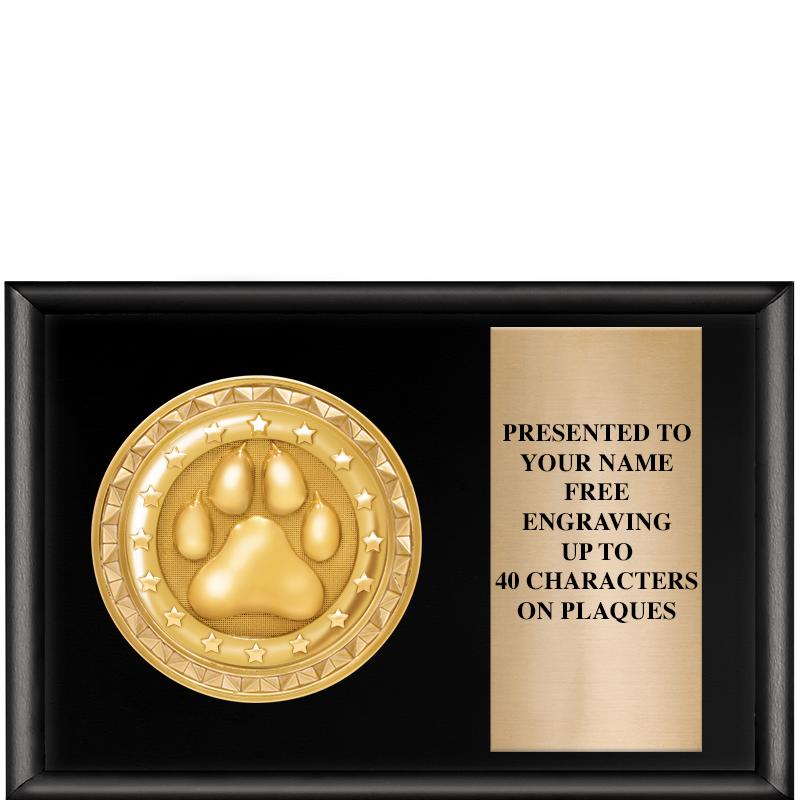 6" X 4" SHINY BLK INSERT PLQ