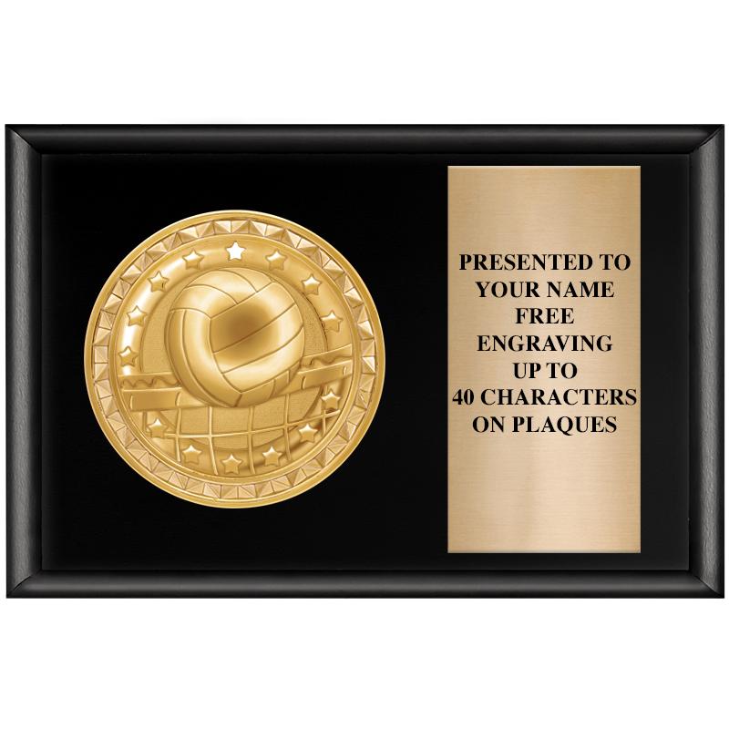 6" X 4" SHINY BLK INSERT PLQ