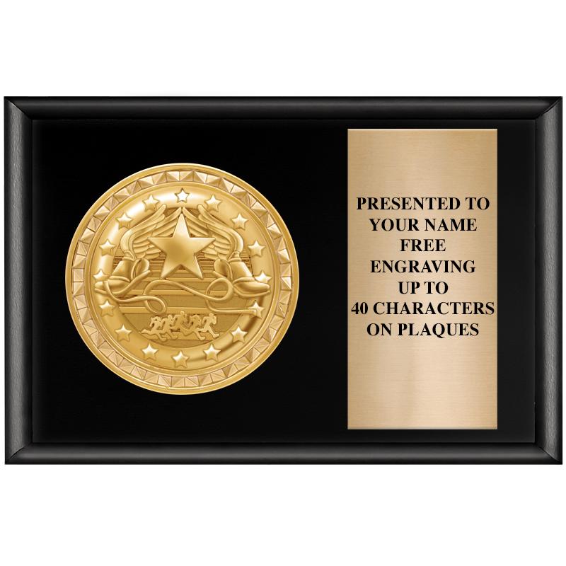 6" X 4" SHINY BLK INSERT PLQ