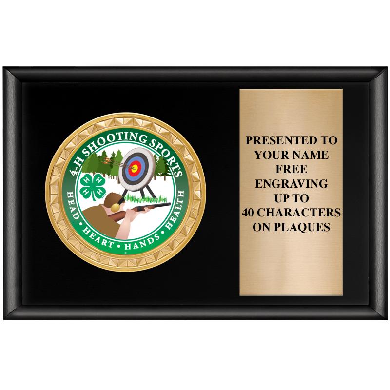 6" X 4" SHINY BLK INSERT PLQ