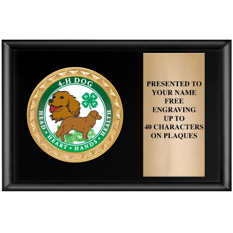 6" X 4" SHINY BLK INSERT PLQ