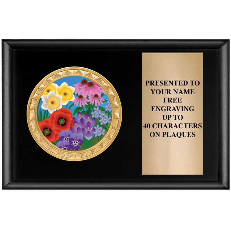 6" X 4" SHINY BLK INSERT PLQ