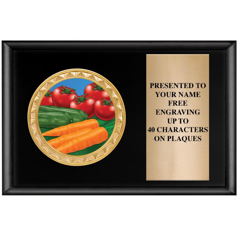 6" X 4" SHINY BLK INSERT PLQ