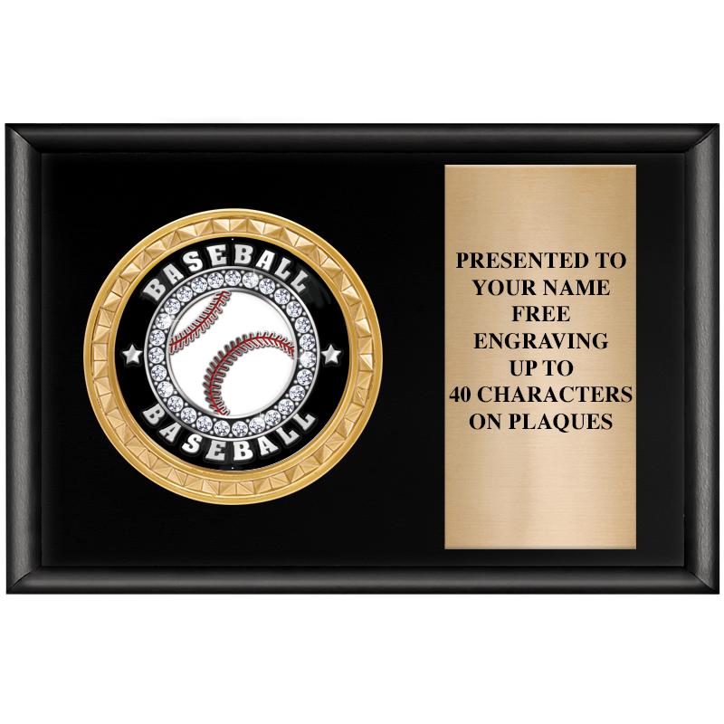 6" X 4" SHINY BLK INSERT PLQ