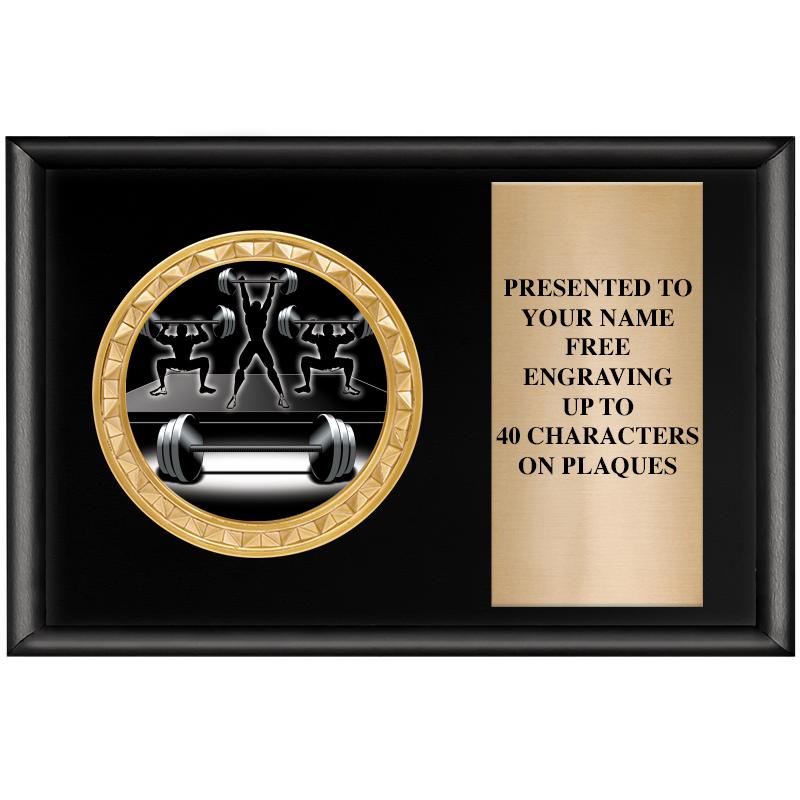 6" X 4" SHINY BLK INSERT PLQ