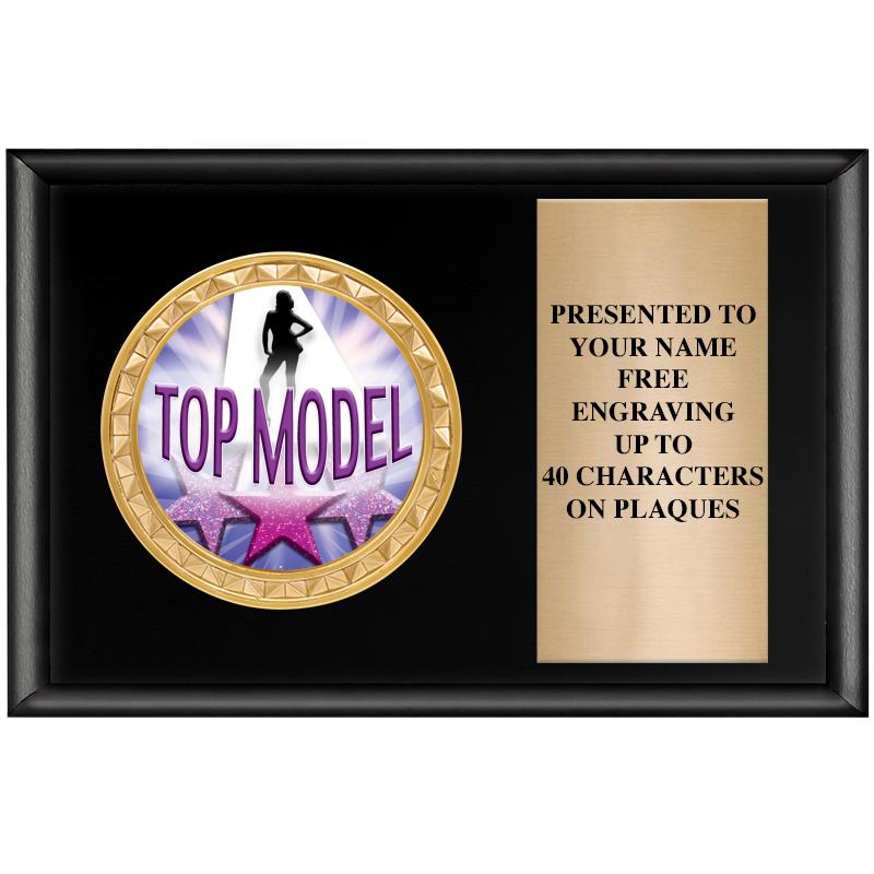 6" X 4" SHINY BLK INSERT PLQ