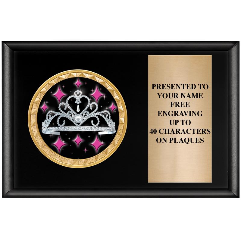 6" X 4" SHINY BLK INSERT PLQ