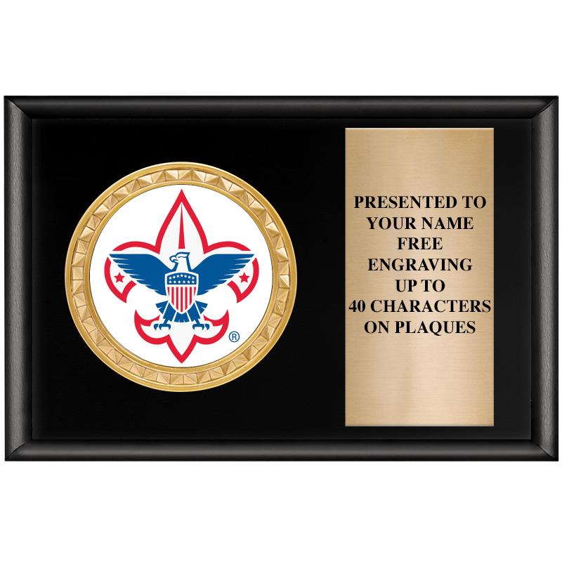 6" X 4" SHINY BLK INSERT PLQ