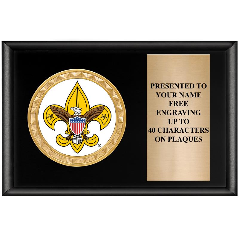 6" X 4" SHINY BLK INSERT PLQ