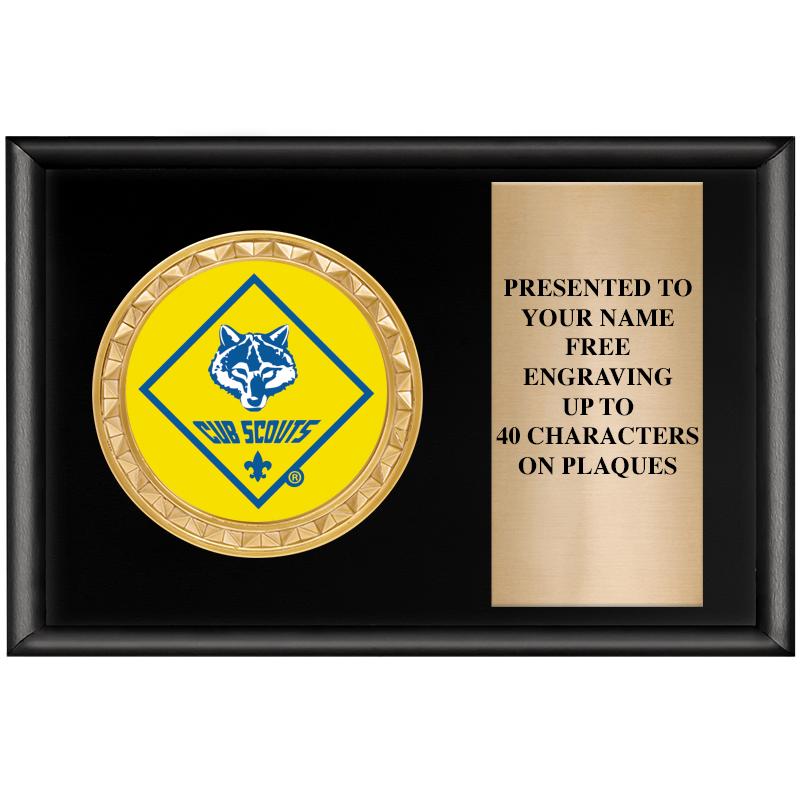 6" X 4" SHINY BLK INSERT PLQ